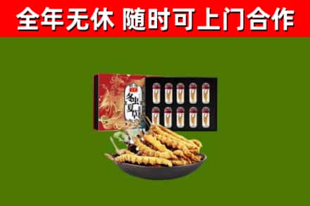 黔东南市回收冬虫夏草价格